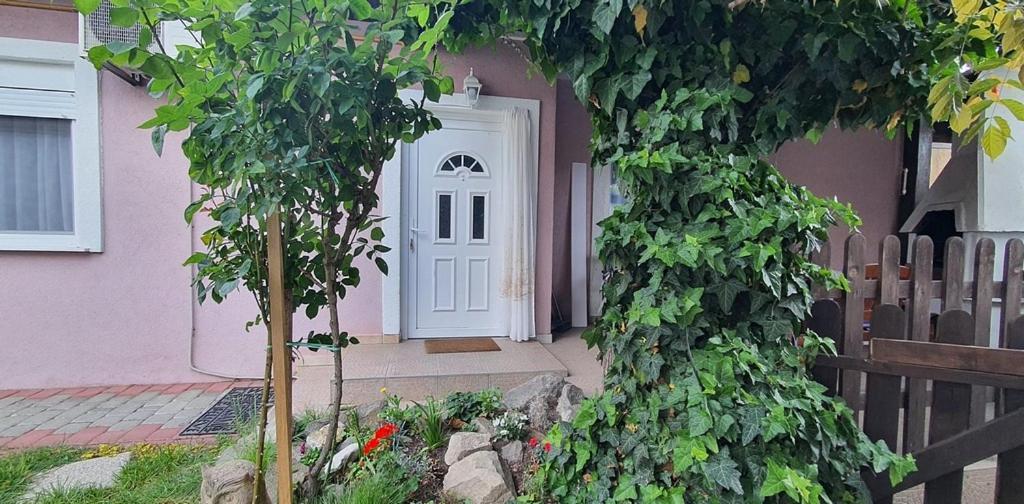 Apartman Ksenija Ðakovo エクステリア 写真