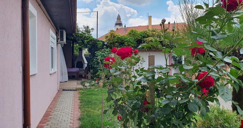 Apartman Ksenija Ðakovo エクステリア 写真